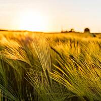 Wellness - Ostsee Campingplatz Kagelbusch