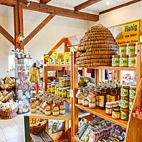 Umgebung  - Ostsee Campingplatz Kagelbusch