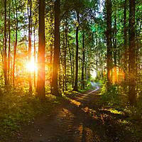 Umgebung  - Ostsee Campingplatz Kagelbusch